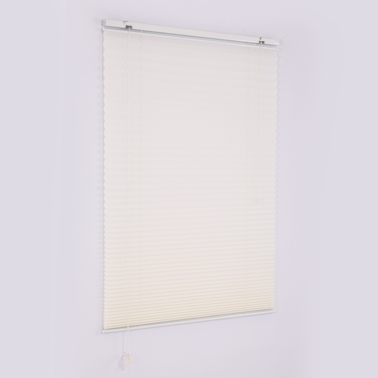 Pleated Shades and Blinds